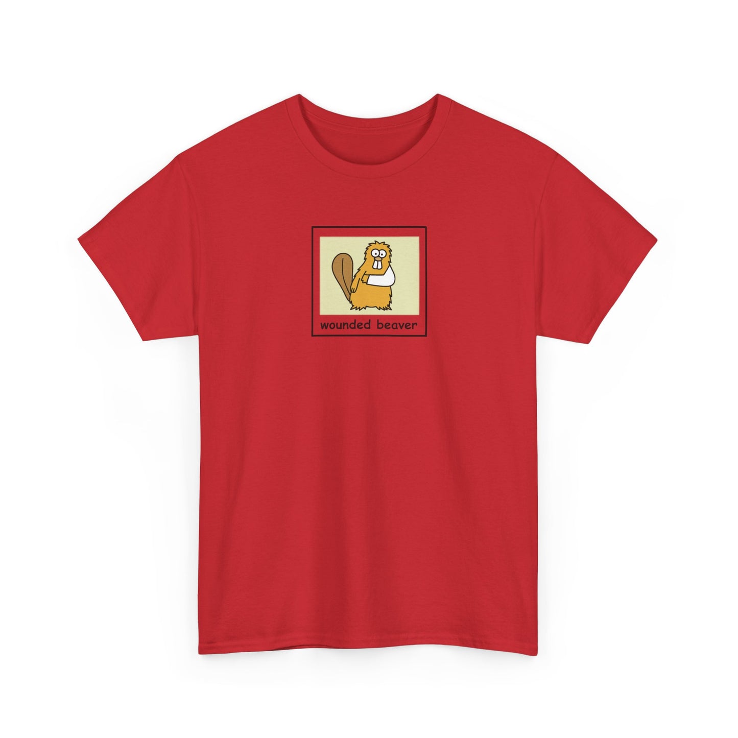 Graphic Cotton T-Shirt (WBe)