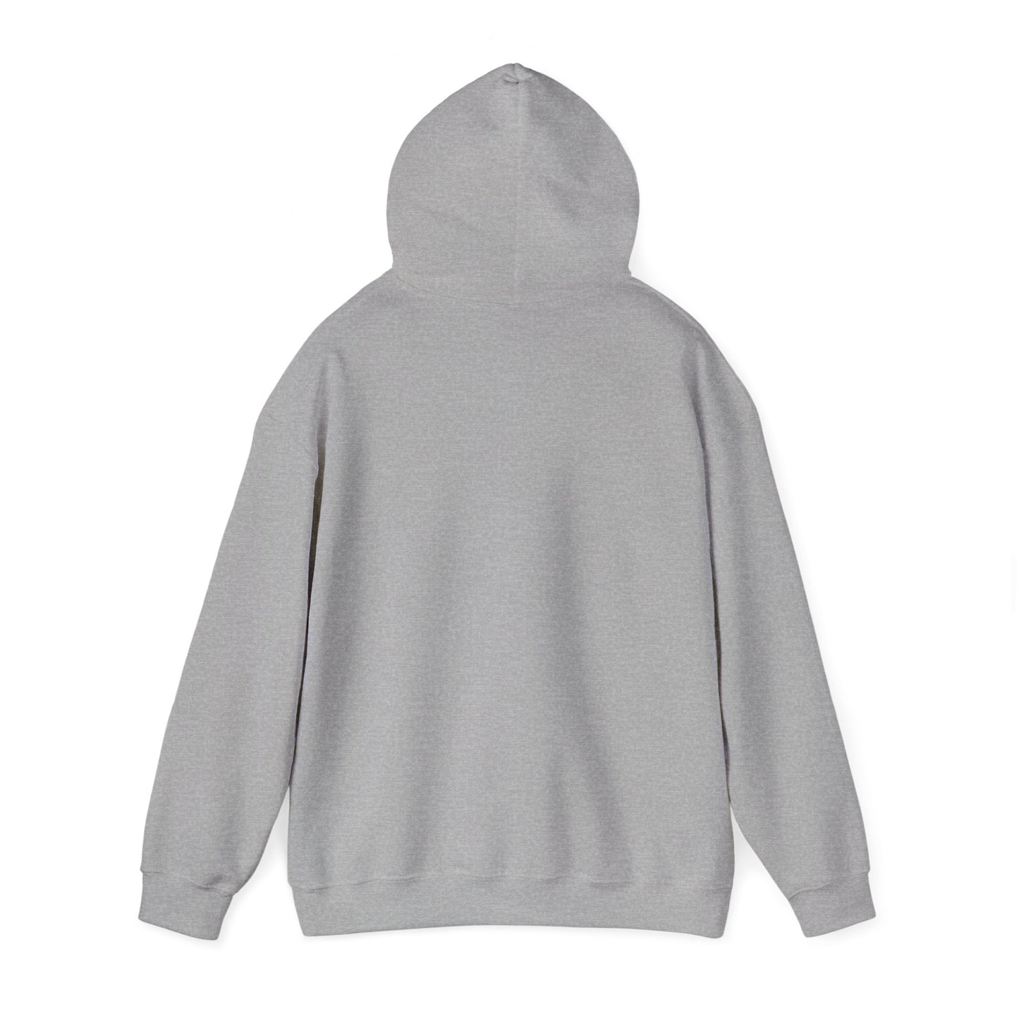 Cozy Hoodie (MW)