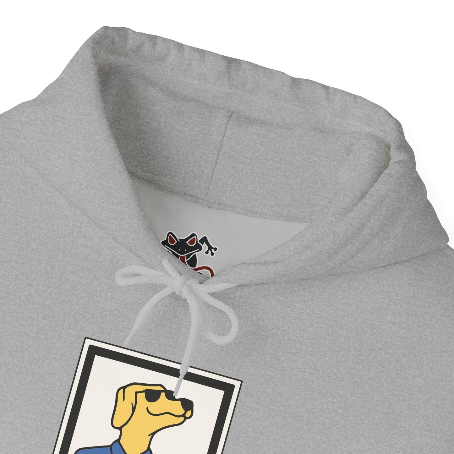 Cozy Hoodie (DS)