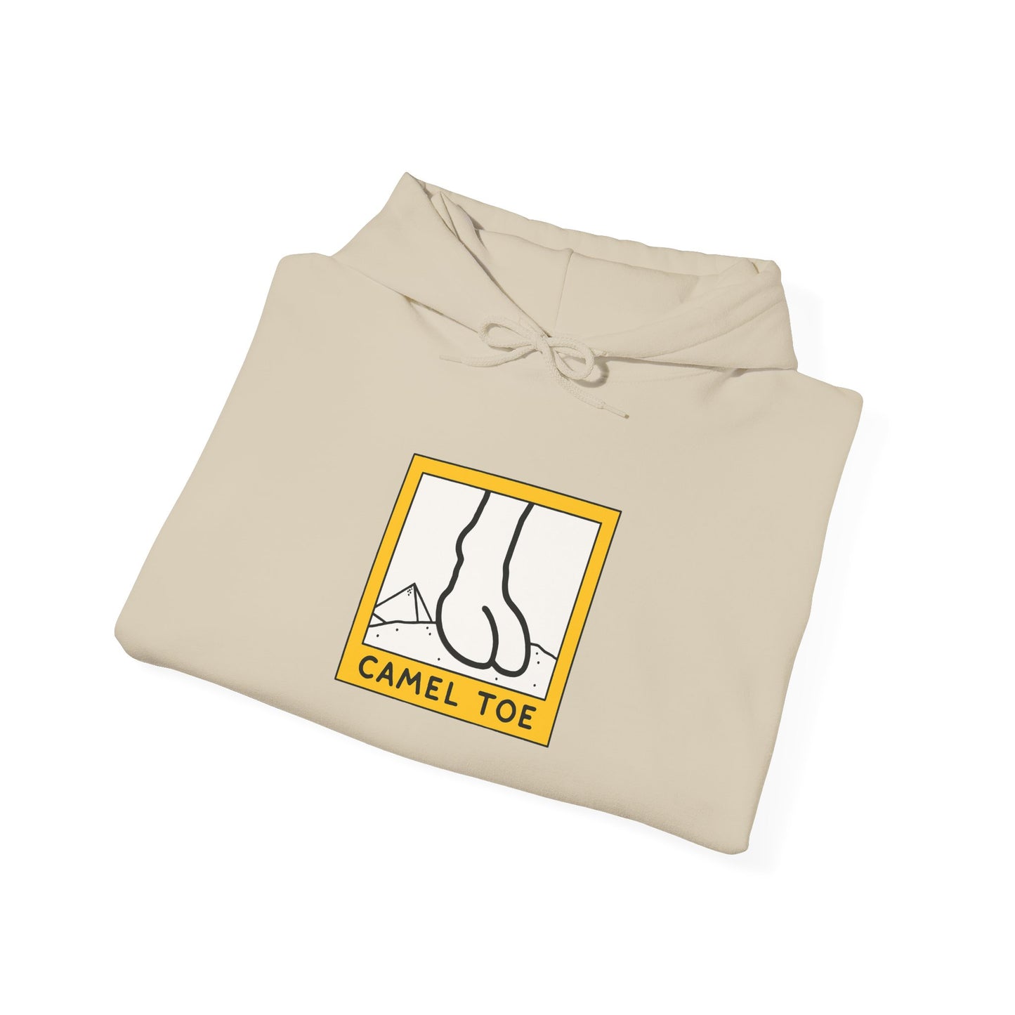 Cozy Hoodie (CT)