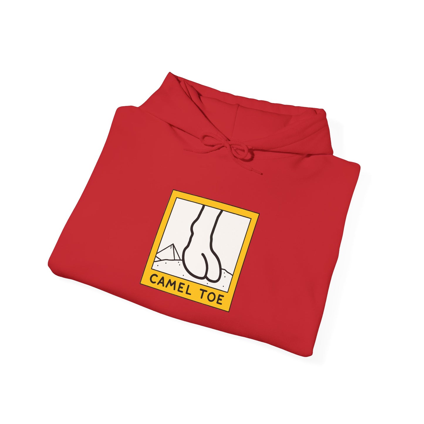 Cozy Hoodie (CT)