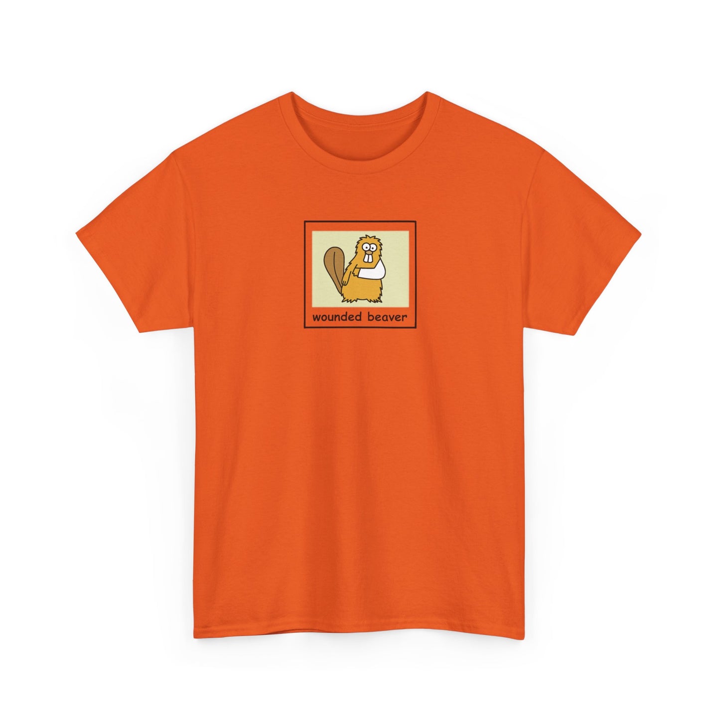 Graphic Cotton T-Shirt (WBe)