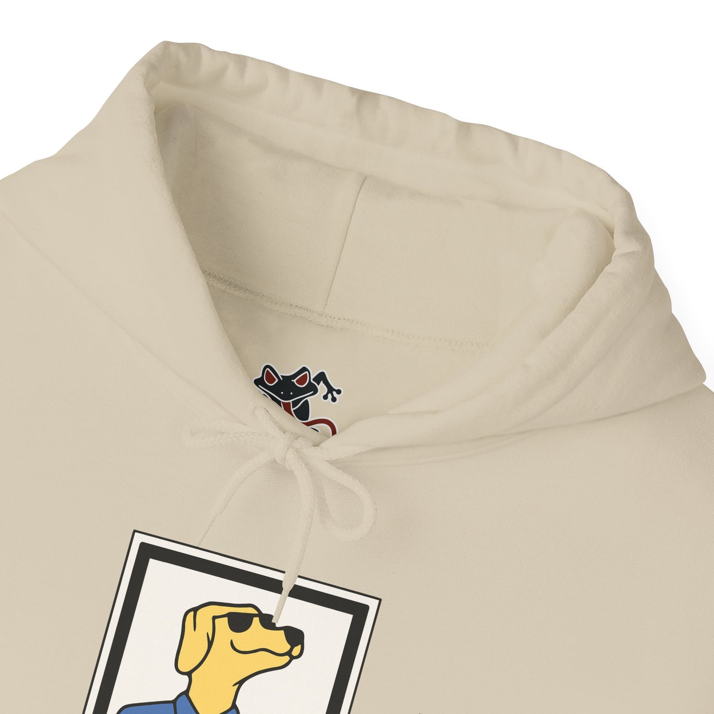 Cozy Hoodie (DS)