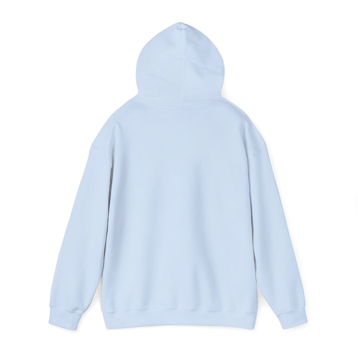 Cozy Hoodie (SM)
