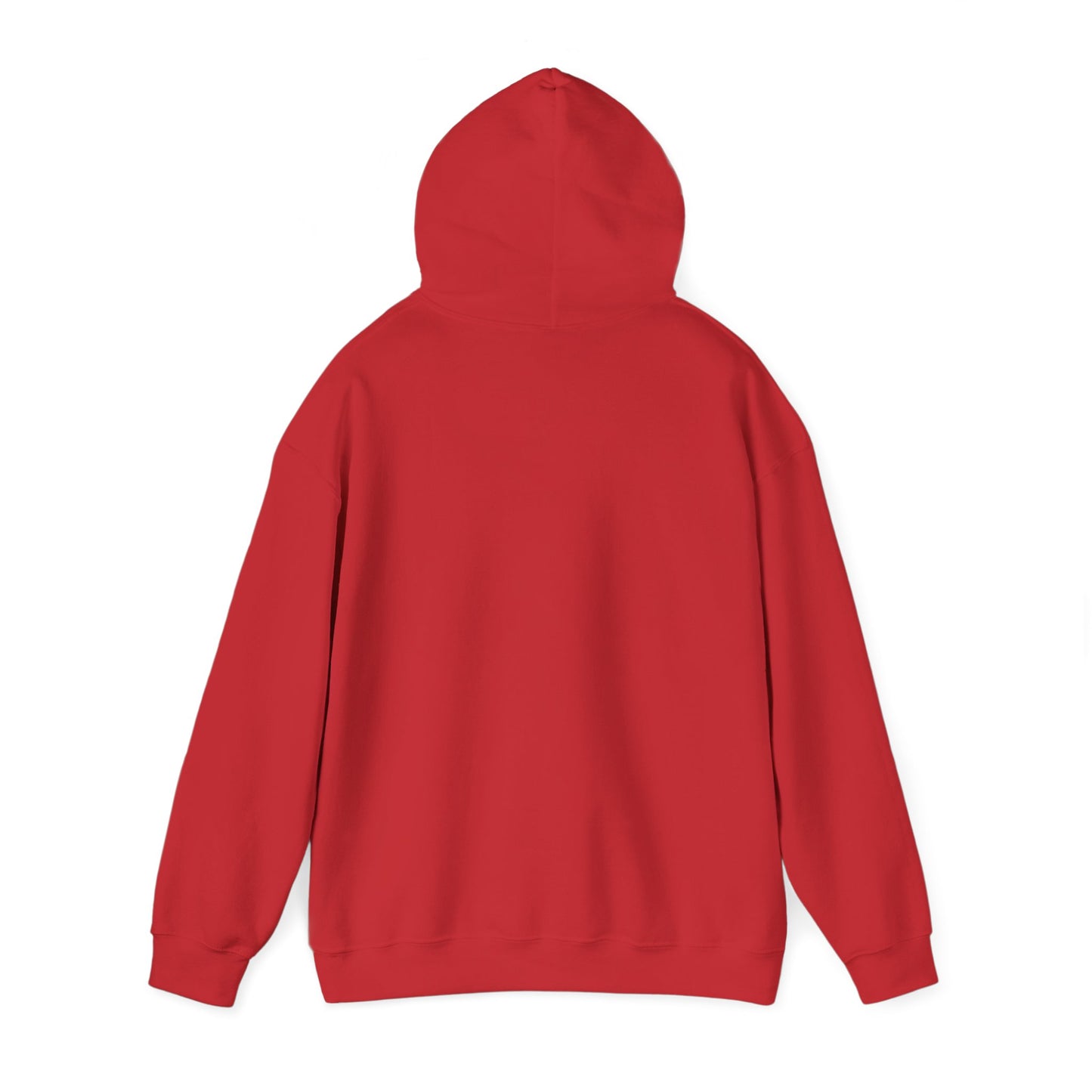 Cozy Hoodie (CT)