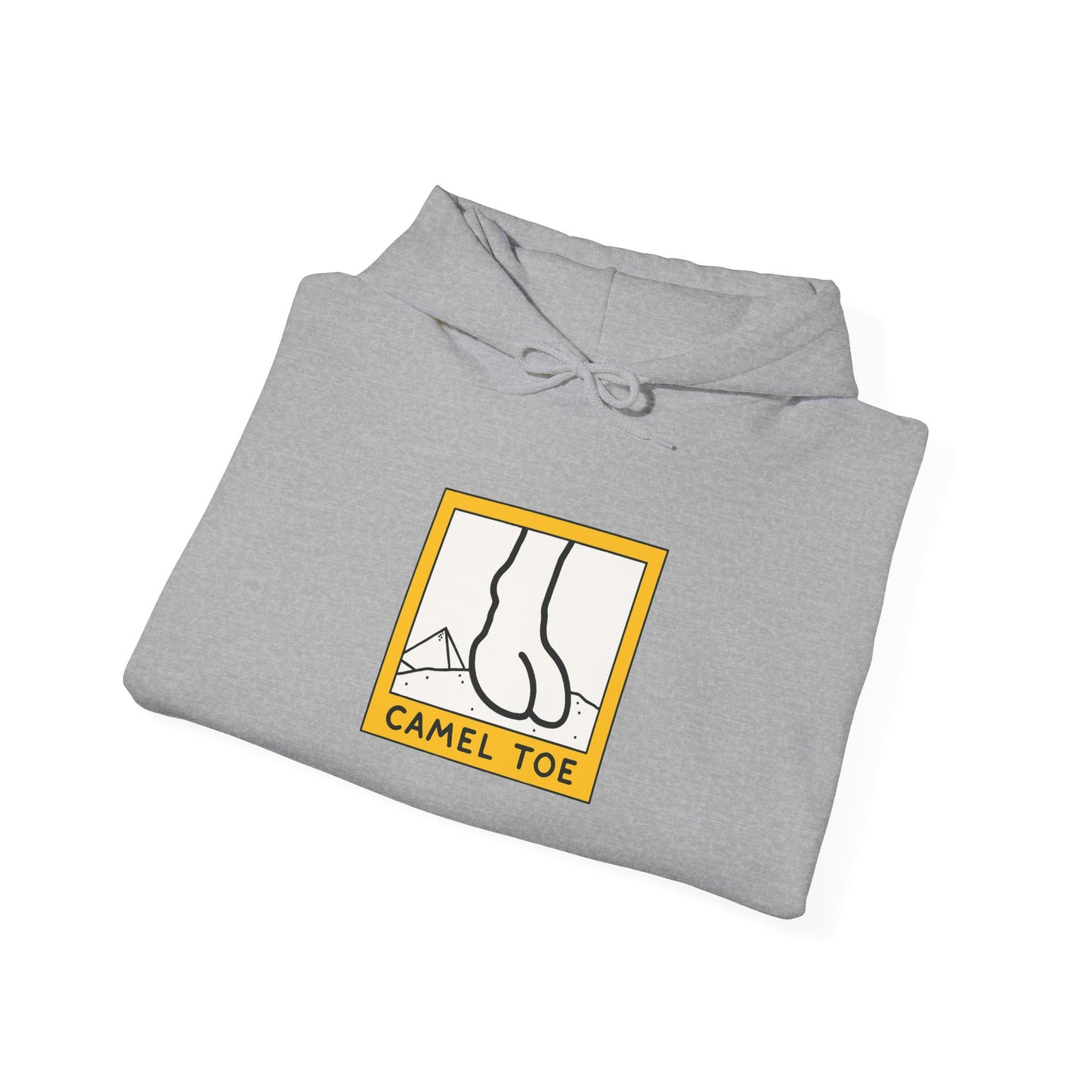 Cozy Hoodie (CT)