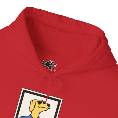 Cozy Hoodie (DS)